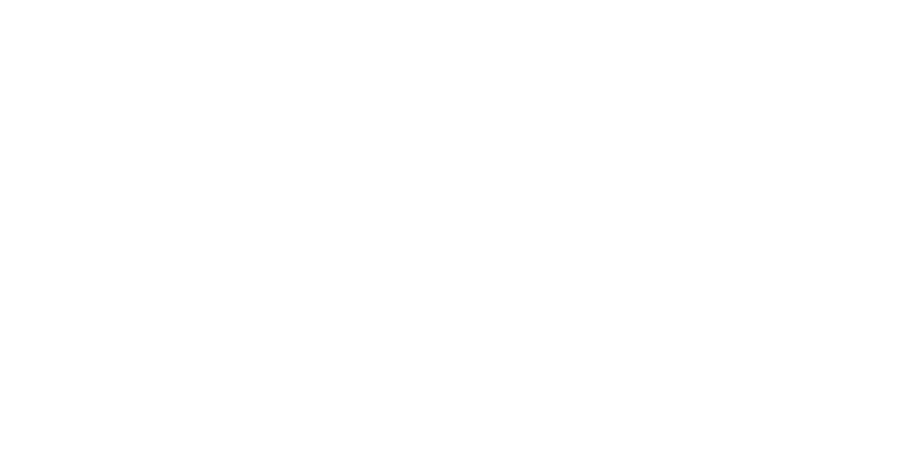 Admiral Logo