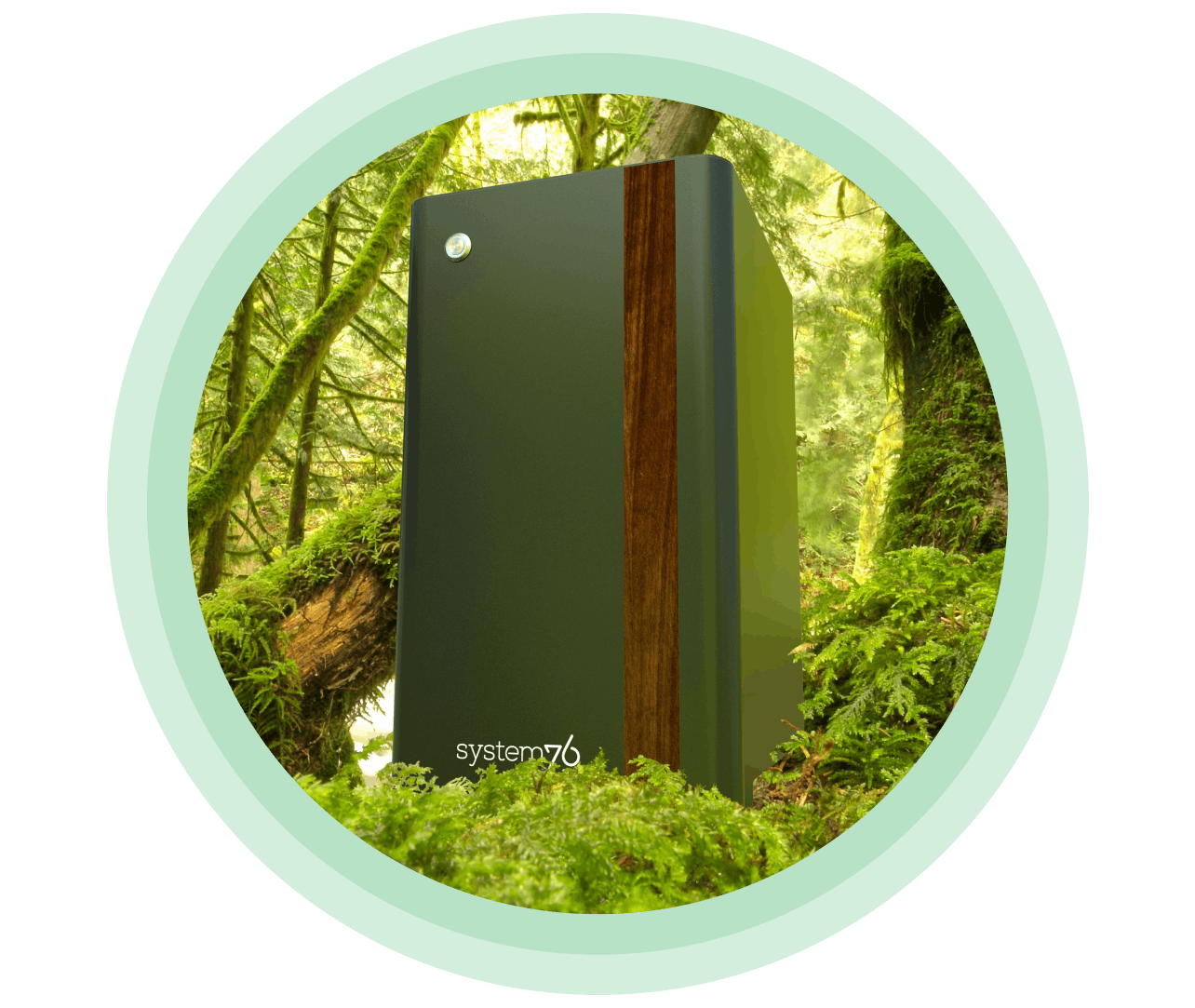 Thelio Mira computer with walnut accent sits in a forest with greenery around it.