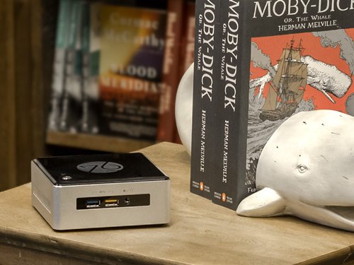 a Meerkat  on a desk next to books