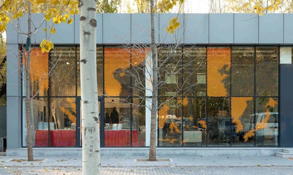 systems studio, walter knoll, beijing, braun, poster, design, graphic design, identity