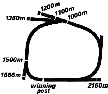 TAB Ipswich Races Today Results Replays Ipswich Racecourse