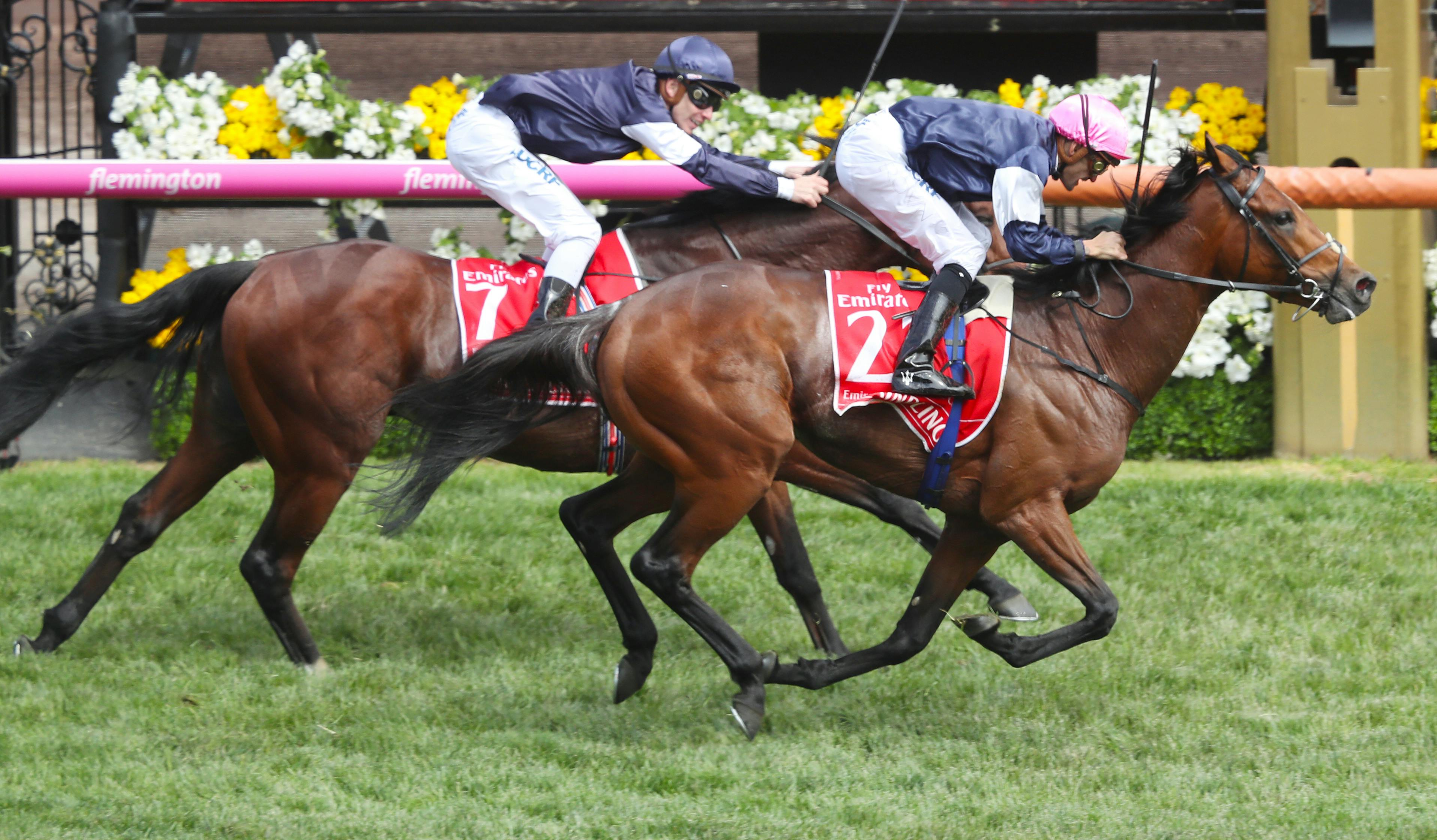 The Melbourne Cup 2018 | TAB