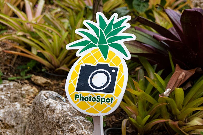 ナゴパイナップルパーク｜エリア内にあるPhotoSpotのサイン
