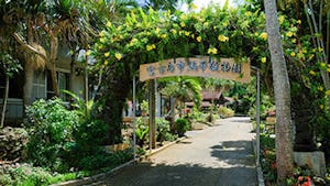 観光地 沖縄旅のガイド 沖楽 観光地 沖縄旅のガイド 沖楽