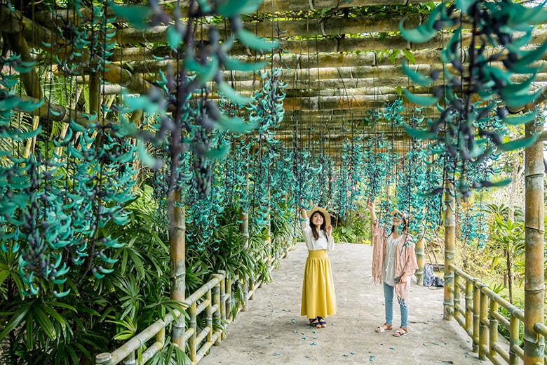 東南植物楽園 フォトスポット満載の壮大な景色 50年先を見据えた男の夢 沖楽