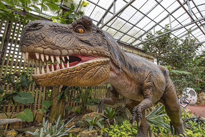 ナゴパイナップルパーク｜目線が恐ろしいティラノサウルスの模型