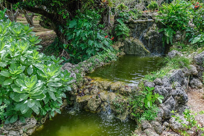 宮古島市熱帯植物園 沖縄県内最大の人口熱帯植物園で 花と蝶に囲まれて森林浴をしよう 沖楽