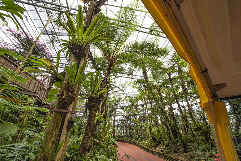 ナゴパイナップルパーク｜沖縄の大型植物が植生されたコース