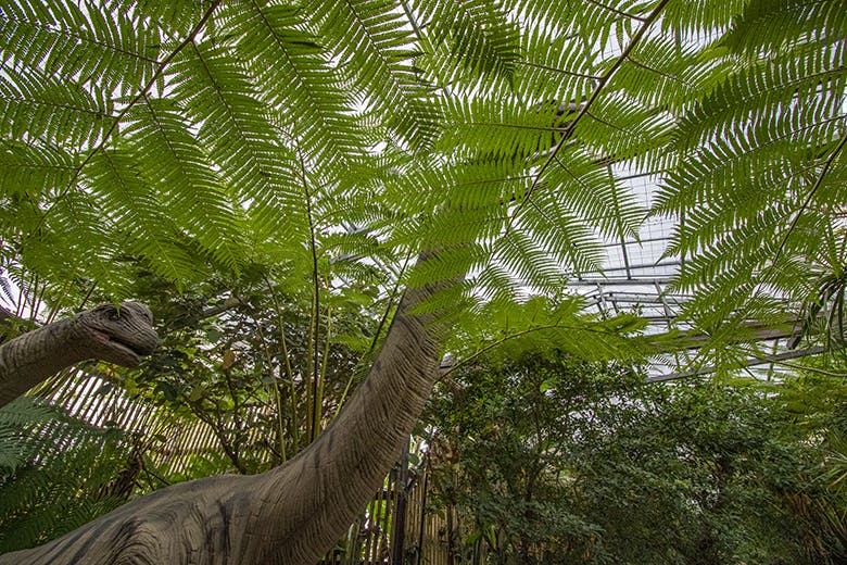 ナゴパイナップルパーク｜シダの葉越しにそびえるブラキオサウルス