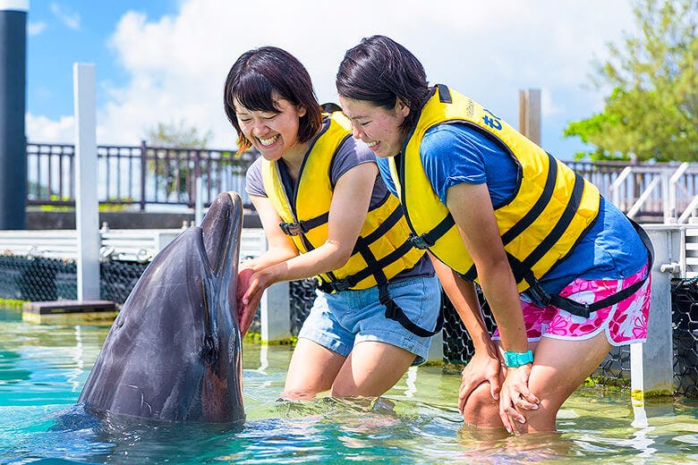 もとぶ元気村 イルカと一緒に泳ぎたい その夢を叶えてくれる体感リゾート 沖楽