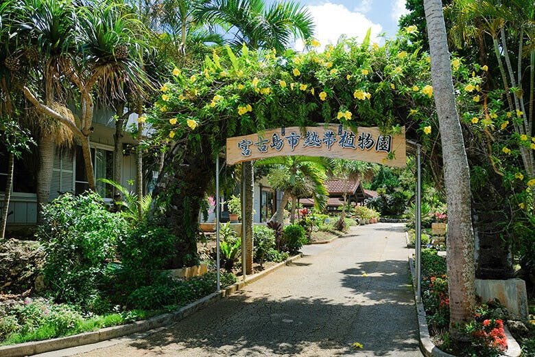 宮古島市熱帯植物園 沖縄県内最大の人口熱帯植物園で 花と蝶に囲まれて森林浴をしよう 沖楽
