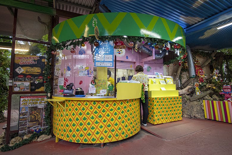 ナゴパイナップルパーク｜フォトスポットで撮影された写真を購入できる「フォトスタジオ」