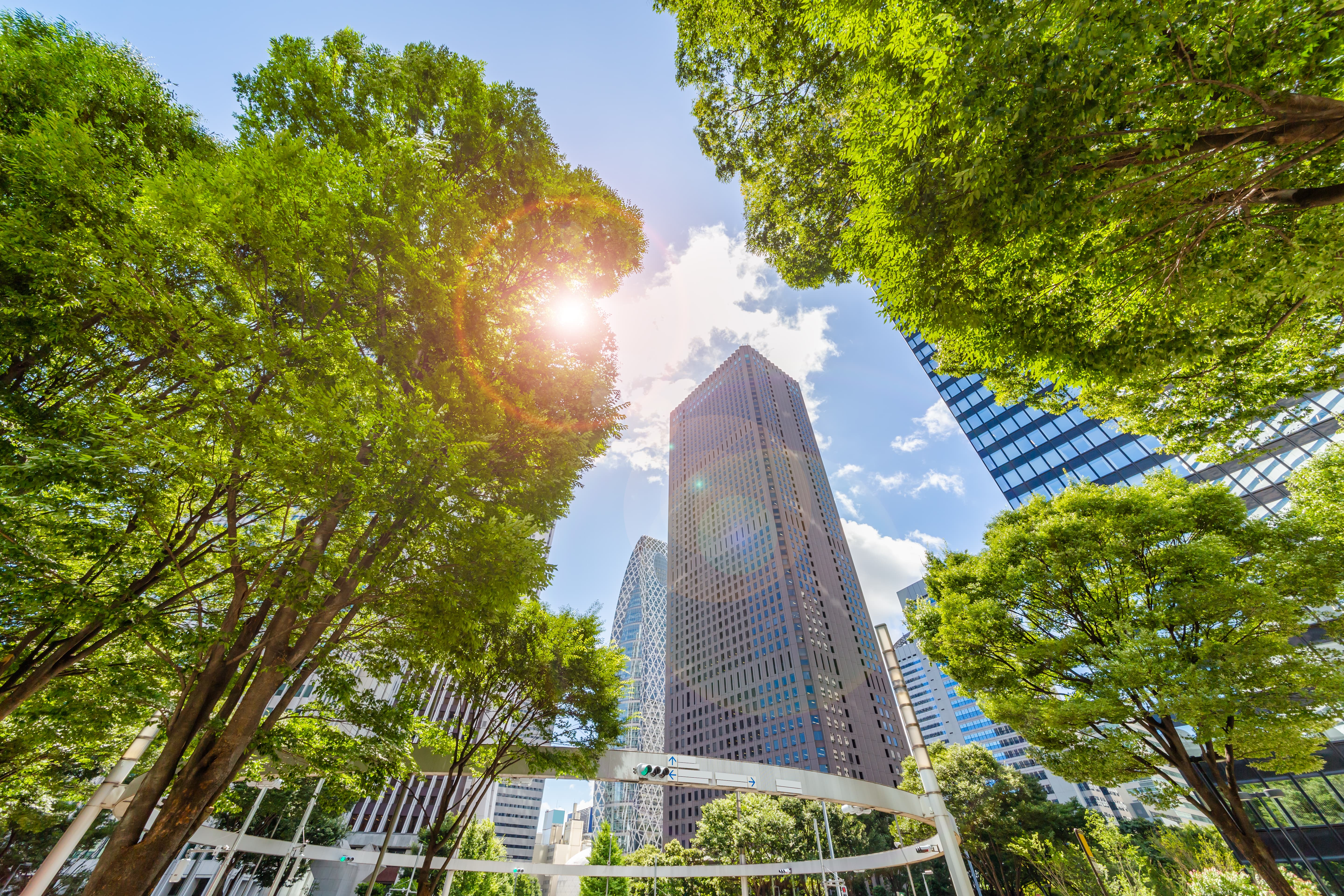Skyscrapers surrounded by trees