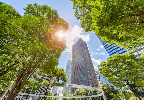 Skyscrapers surrounded by trees