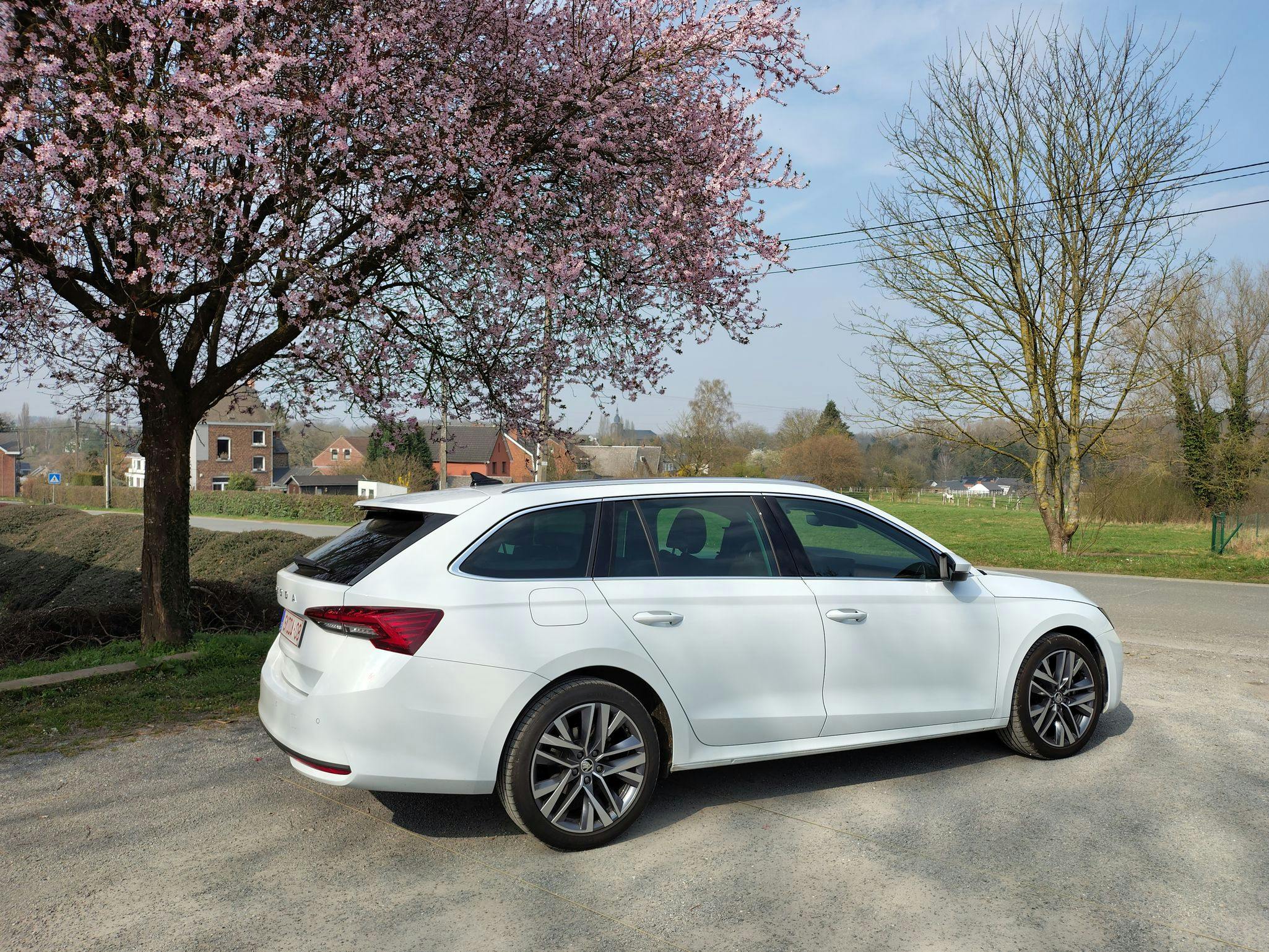 Skoda Octavia Combi 110 kW mhev