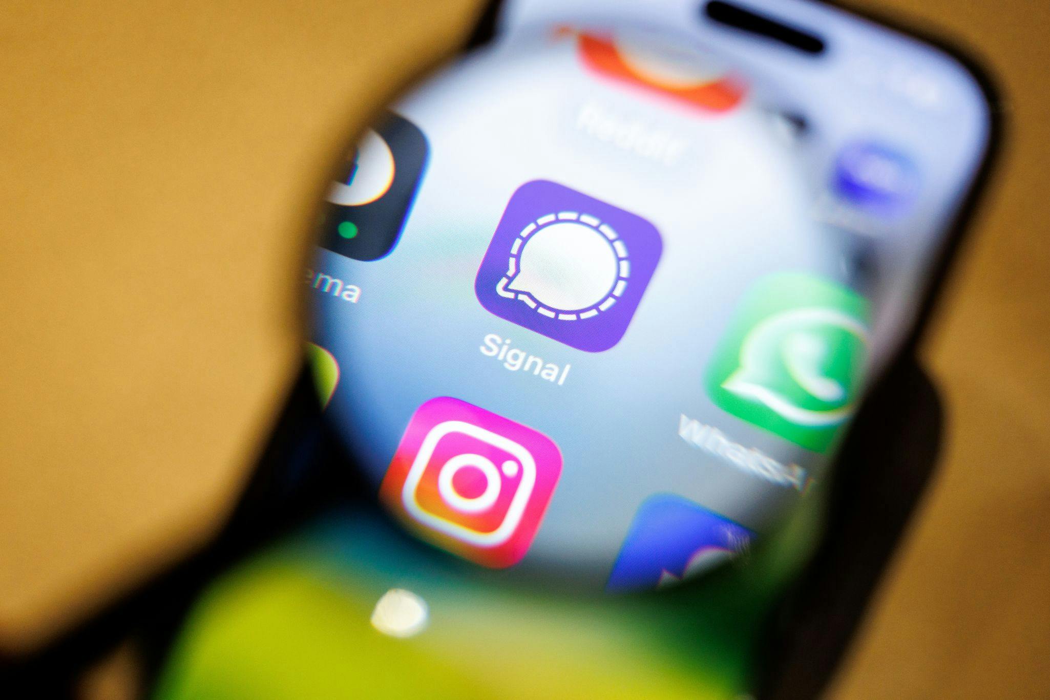 signal app logo on a smartphone