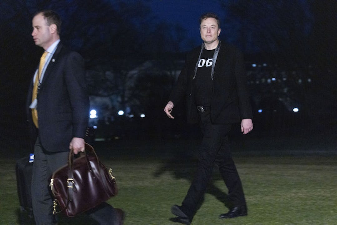 Elon Musk walking on grass