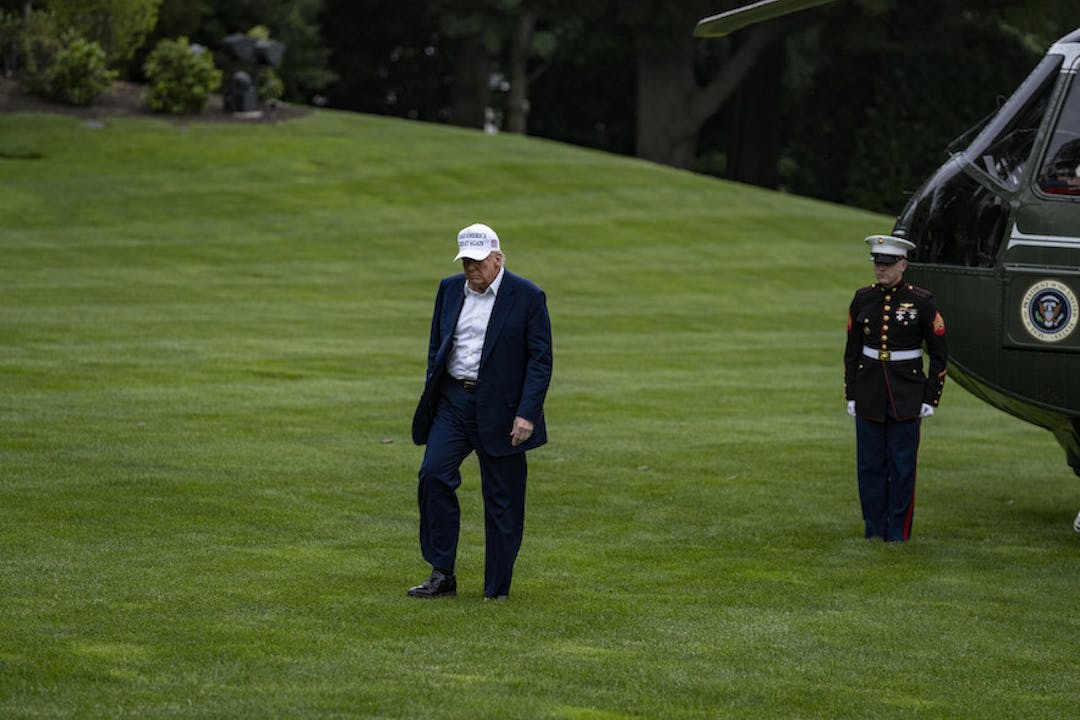 Donald Trump walking on grass