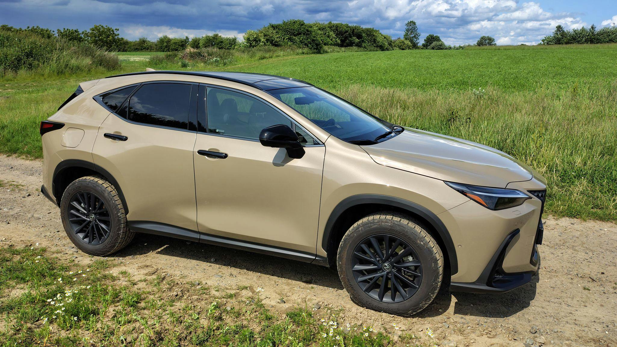 Lexus NX 450h+ Overtrail