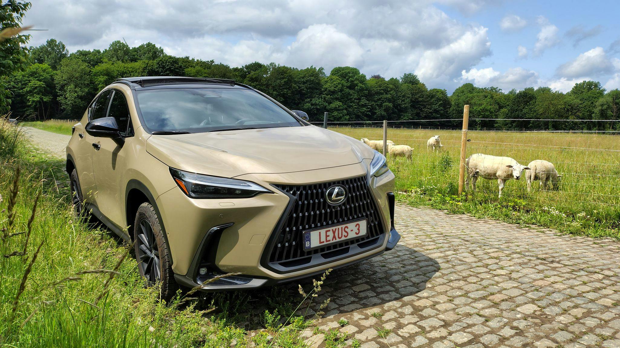 Lexus NX 450h+ AWD Overtrail