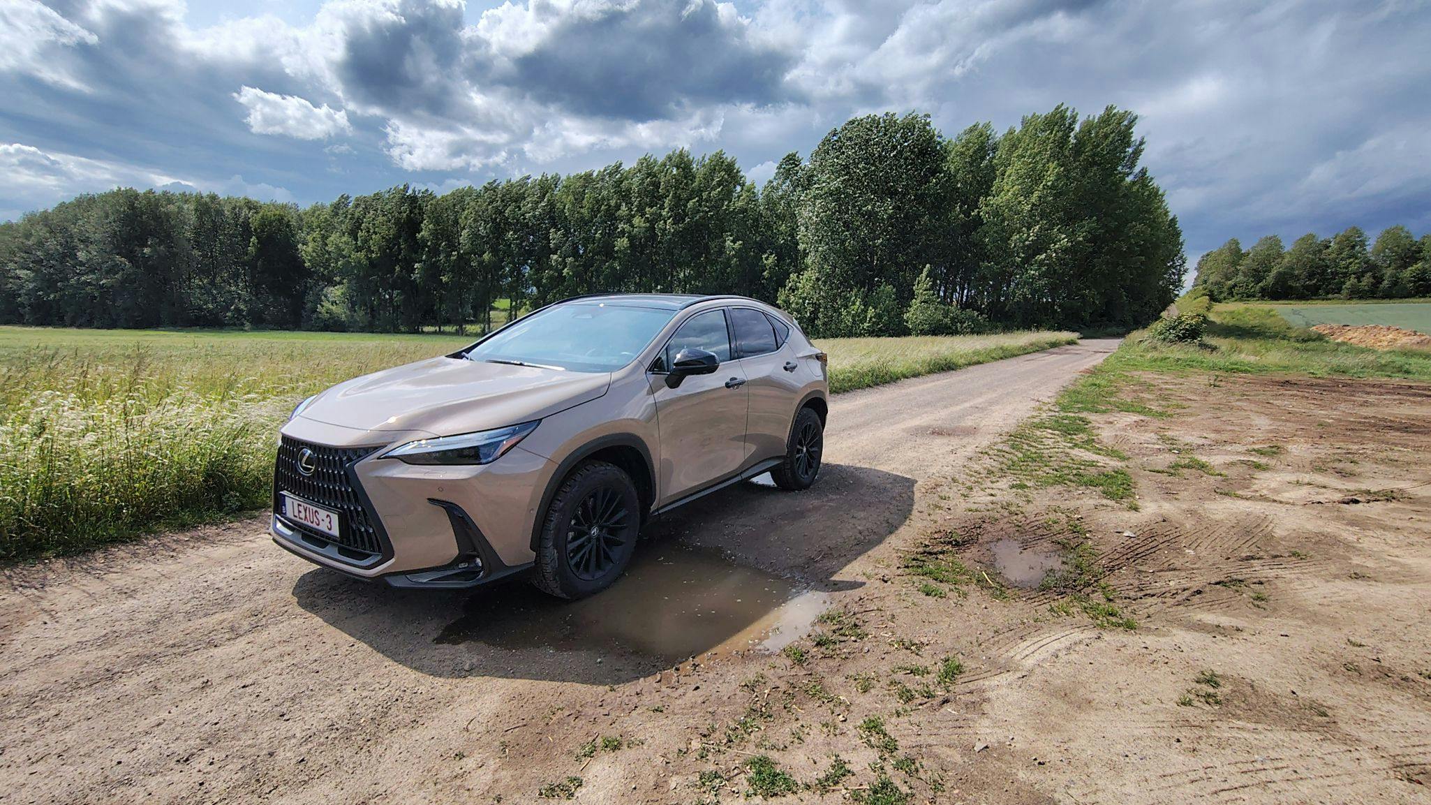 Lexus NX 450h+ AWD Overtrail