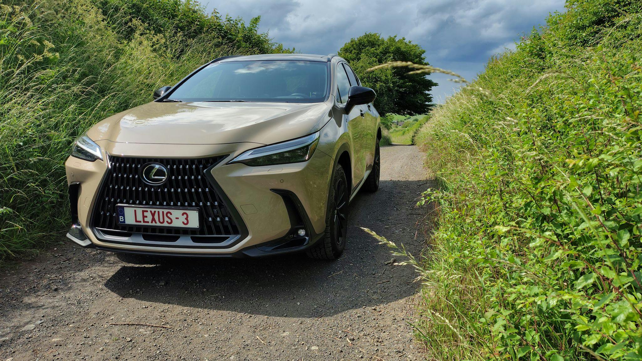 Lexus NX 450h+ AWD Overtrail