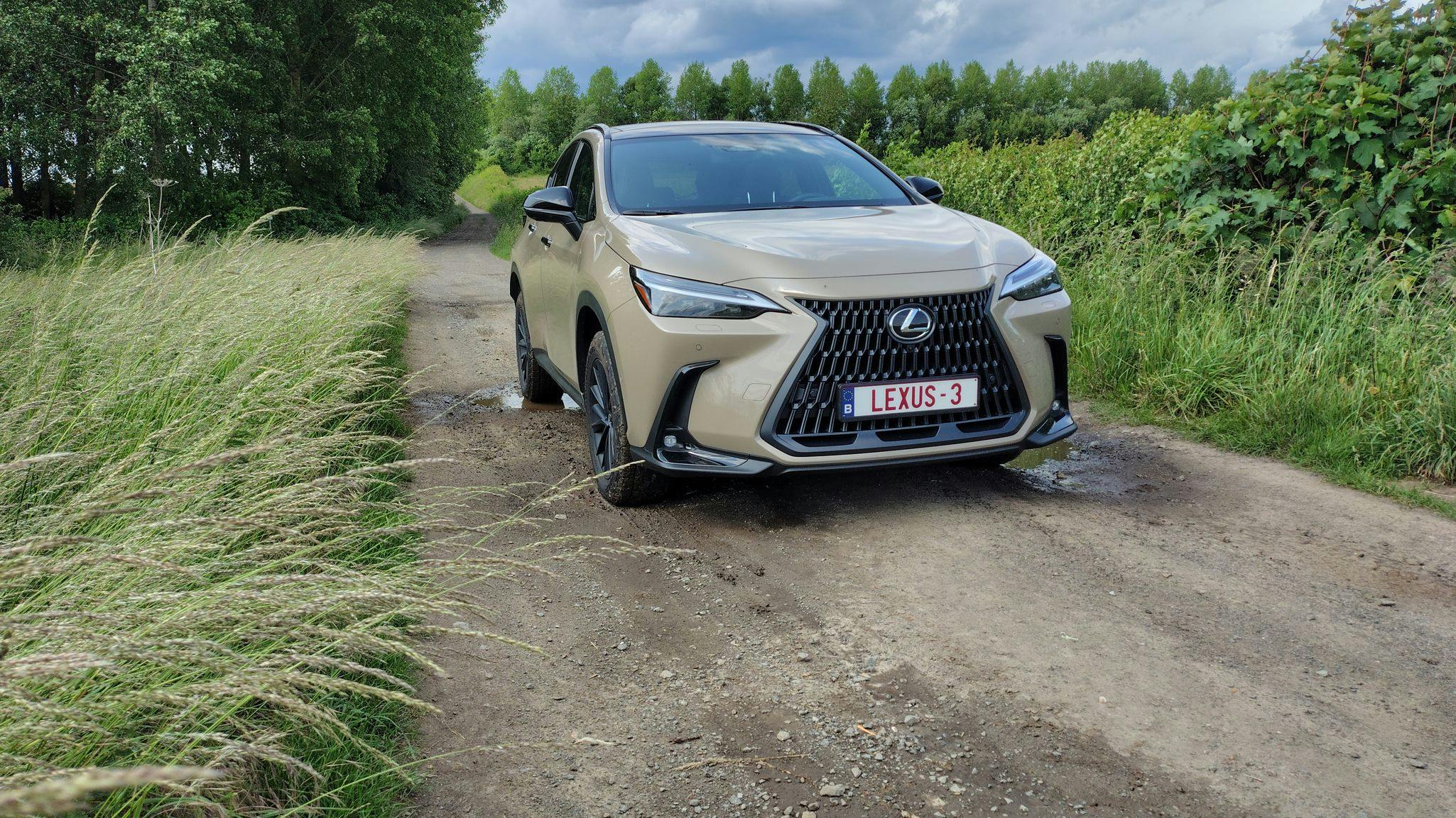 Lexus NX 450h+ AWD Overtrail