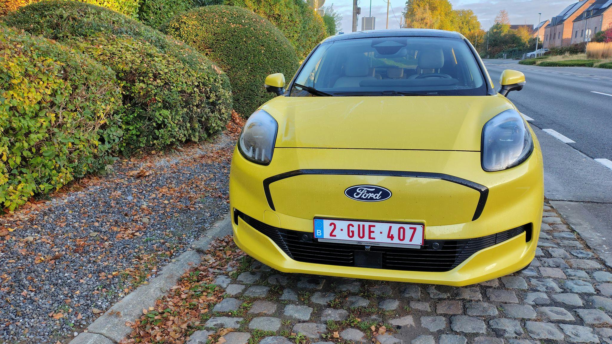 Ford Puma E-Gen