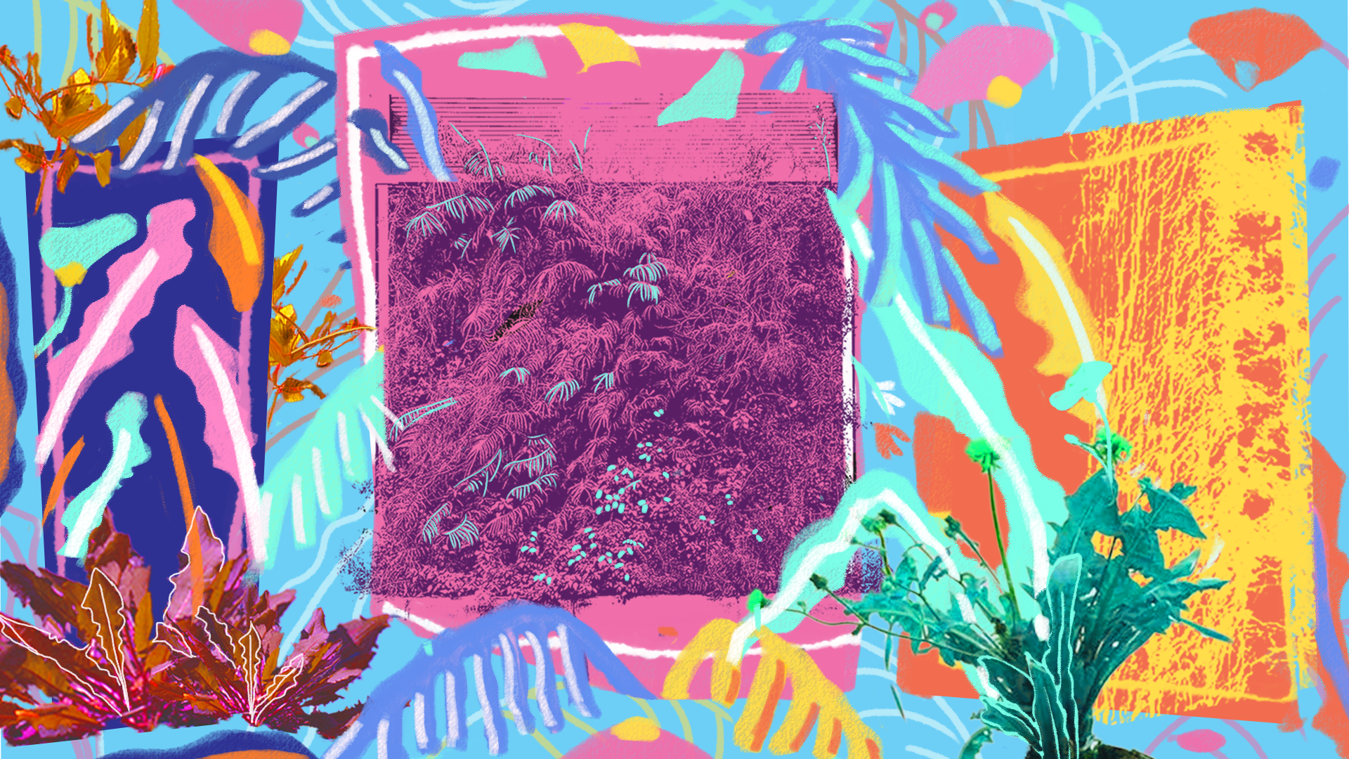 《微景》的主視覺設計