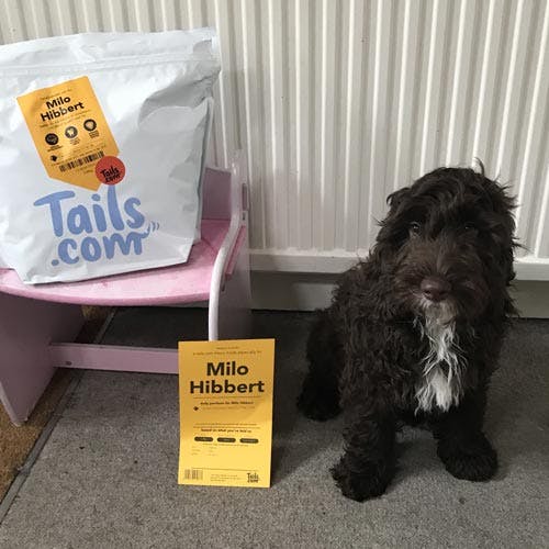 Milo the Cockapoo's review of tails.com