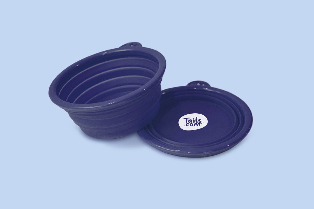 Collapsible water bowl