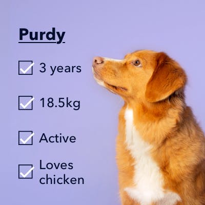 Purdy licking his lips