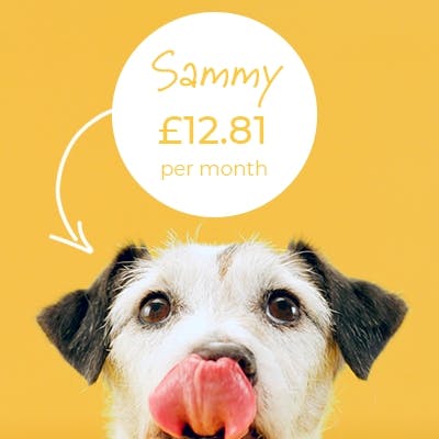 dog lipping lips price tag