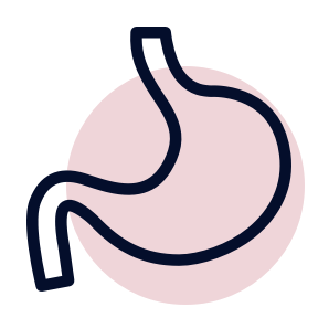 a healthy gut
