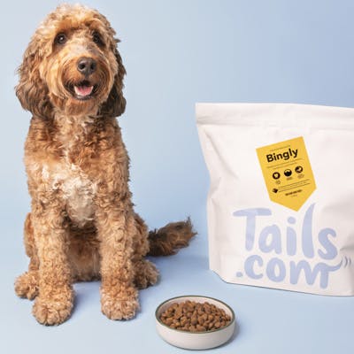 A dog with hypoallergenic Tails.com food