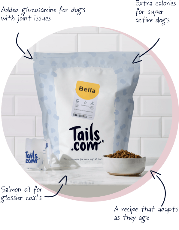 Tailored dry food bag with kibble and portion scoop