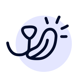 12 köstliche Sorten zur Auswahl icon