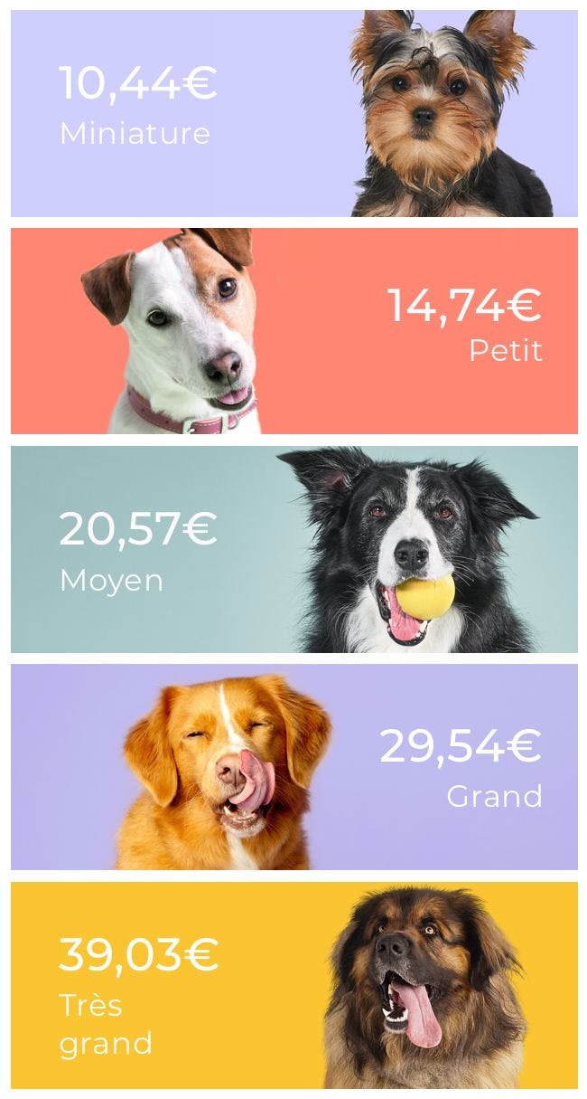 price per dog size for tails.com dog food