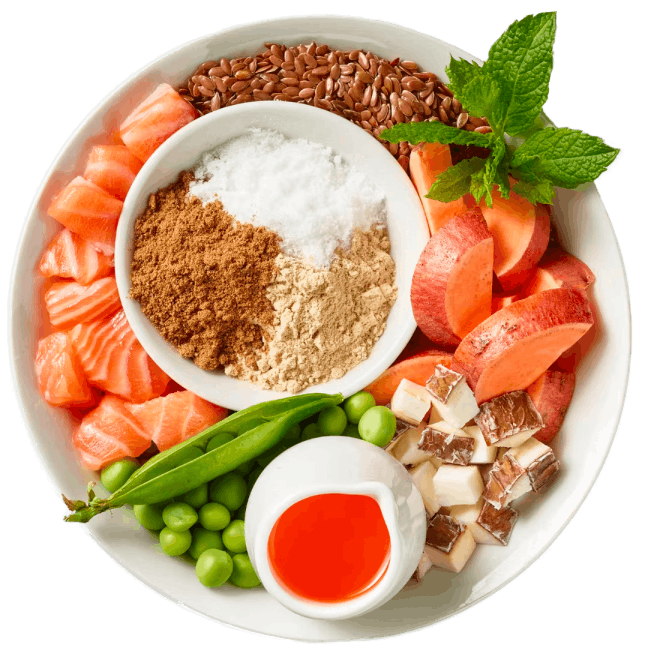 White bowl full of healthy meat and veggies