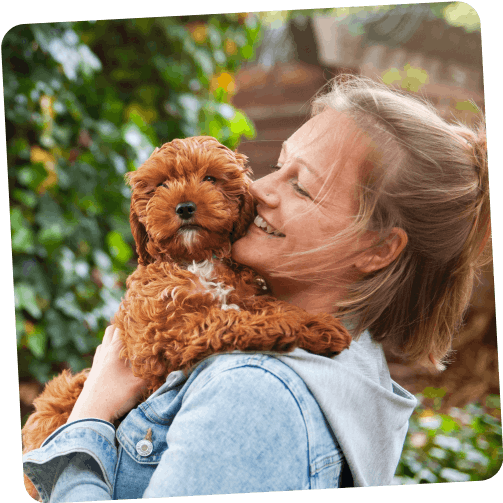 An image of a puppy, and his owner.