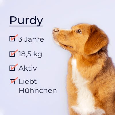 Purdy schaut sich sein Profil an