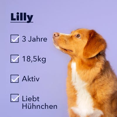 Purdy schaut sich sein Profil an