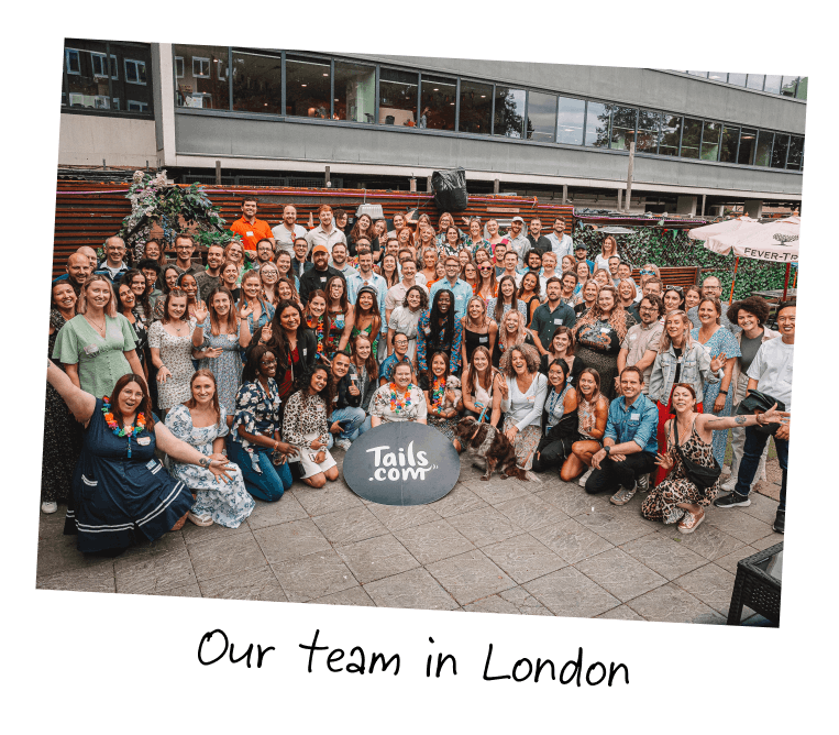 Our team in London