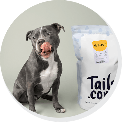 walter with food bag