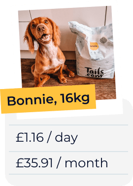 
                        
                            Bonnie, 16kg £1.16 a day or £35.91 a month
                        