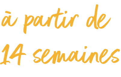 Une image avec le texte "14 semaines et plus".