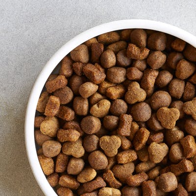 Une Recette Sans Cereales Pour Votre Chien Tails Com Tails Com