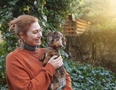 photo of a dog getting a hug from it's owner