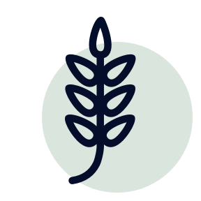 Carbohydrates icon