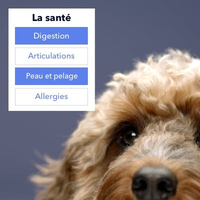 Pour en finir avec l’à peu près